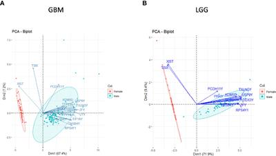 Identification of Gender-Specific Molecular Differences in Glioblastoma (GBM) and Low-Grade Glioma (LGG) by the Analysis of Large Transcriptomic and Epigenomic Datasets